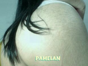 PAMELA_N