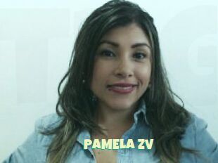 PAMELA_zv