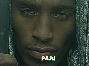 Paju