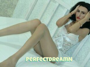 PerfectDreamN