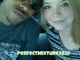 PerfectMixture3828