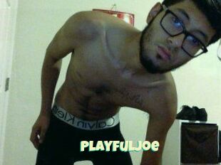 PlayfulJoe