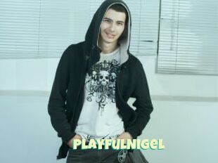 PlayfulNigel