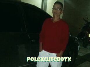 Polexcuteboyx
