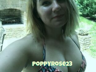PoppyRose23