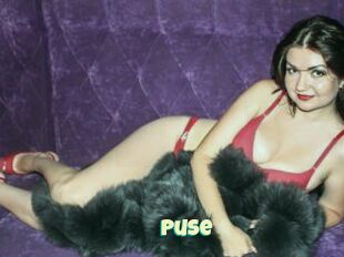 Puse