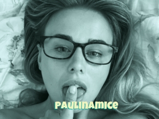Paulinamice
