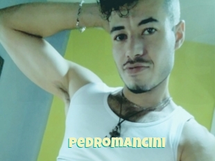 Pedromancini