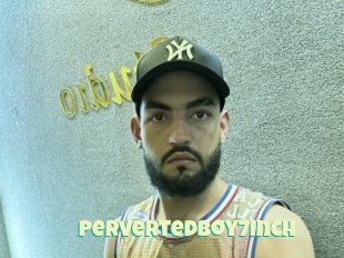 Pervertedboy7inch