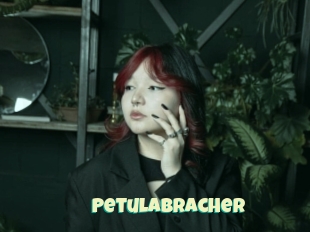 Petulabracher