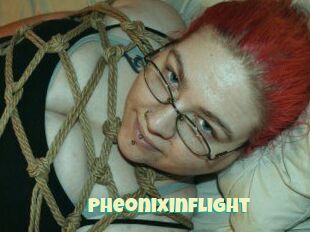 Pheonixinflight