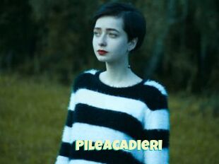 Pileacadieri