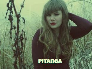 Pitanga