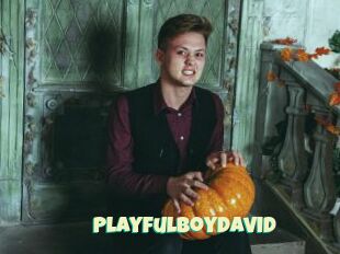 Playfulboydavid