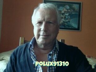 Polux91310