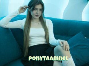 Ponytaamnel