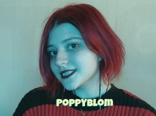 Poppyblom