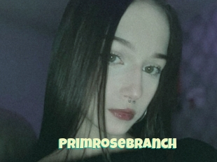 Primrosebranch
