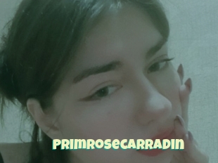 Primrosecarradin