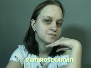 Primrosecarvin