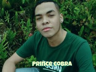 Prince_cobra