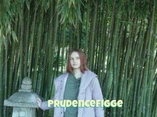 Prudencefigge