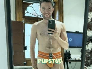 Pupstud