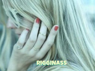 RiggINASS