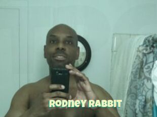 Rodney_Rabbit