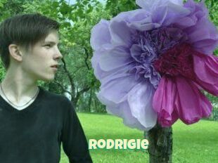 Rodrigie