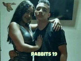 Rabbits_19
