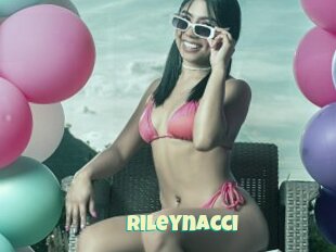 Rileynacci