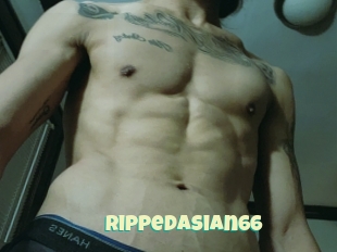 Rippedasian66
