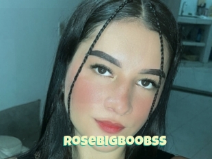 Rosebigboobss