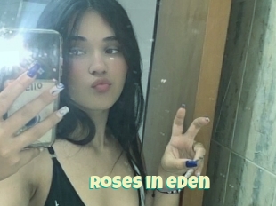 Roses_in_eden