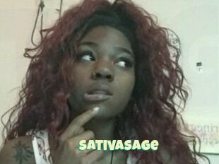 Sativa_Sage