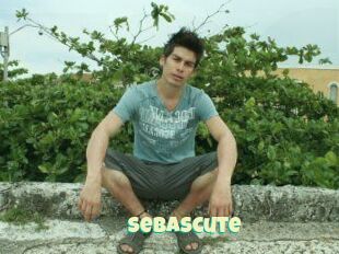 Sebascute