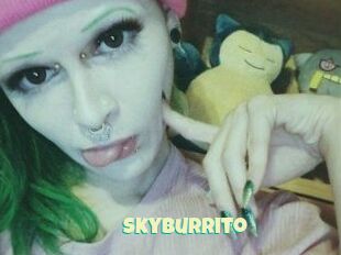 SkyBurrito