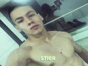 Stier