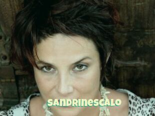 Sandrinescalo