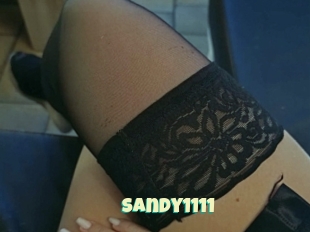 Sandy1111