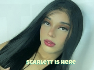 Scarlett_is_here