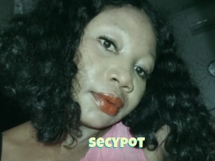 Secypot