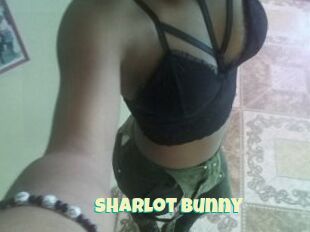 Sharlot_bunny