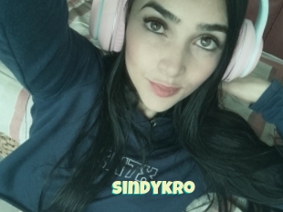 Sindykro