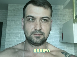 Skripa