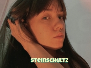 Steinschultz