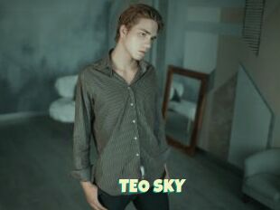 TEO_SKY