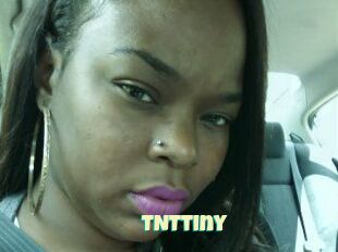 T_N_Ttiny