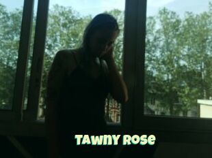 Tawny_Rose